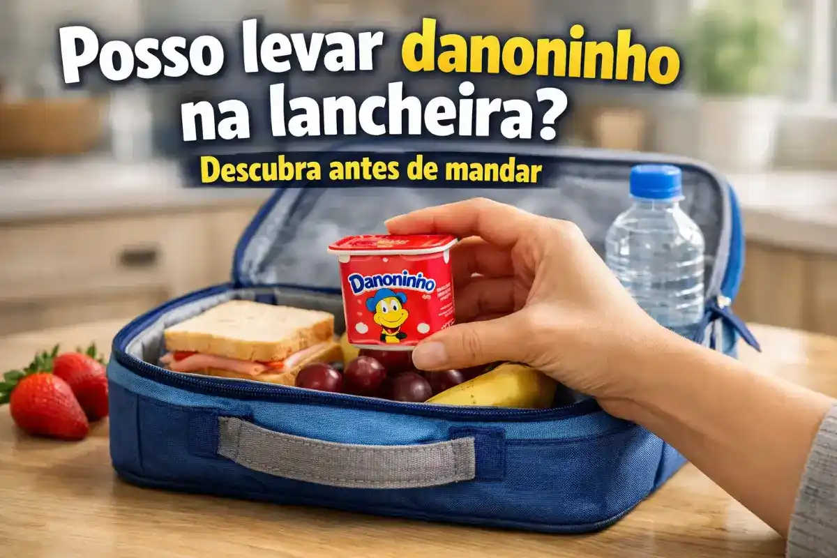 Posso levar danoninho na lancheira para escola?